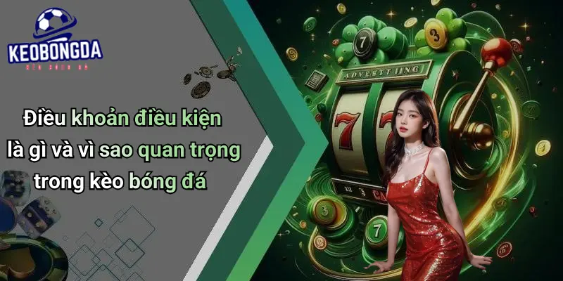 Điều Khoản Điều Kiện