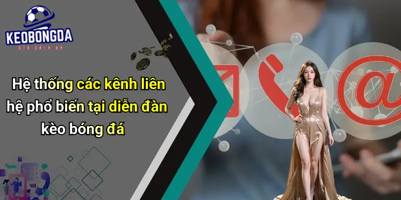 Liên hệ 2 Liên Hệ