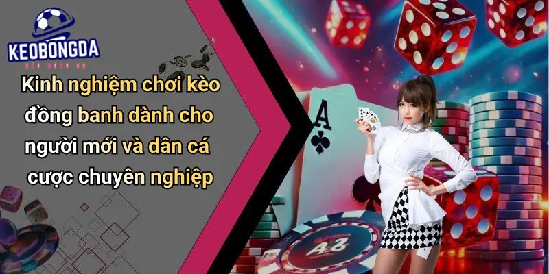 Kèo Đồng Banh: Cách Đọc Kèo Và Bí Quyết Cá Cược Hiệu Quả 3 Kèo Đồng Banh