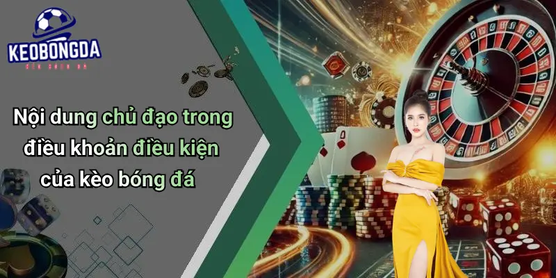 Điều Khoản Điều Kiện