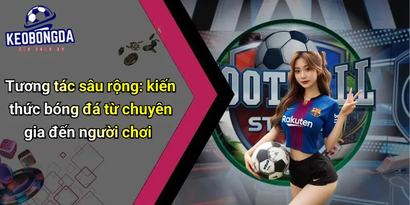 Tin Tức Bóng Đá