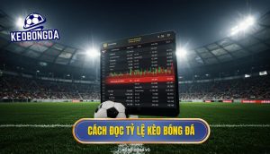 Cách Đọc Tỷ Lệ Kèo Bóng Đá Chuẩn Xác Nhất 2024 | KÈO BÓNG ĐÁ 4 Cách đọc tỷ lệ kèo bóng đá