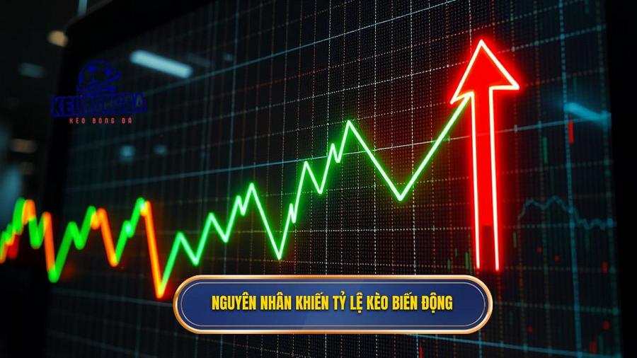 Nguyên nhân khiến tỷ lệ kèo biến động