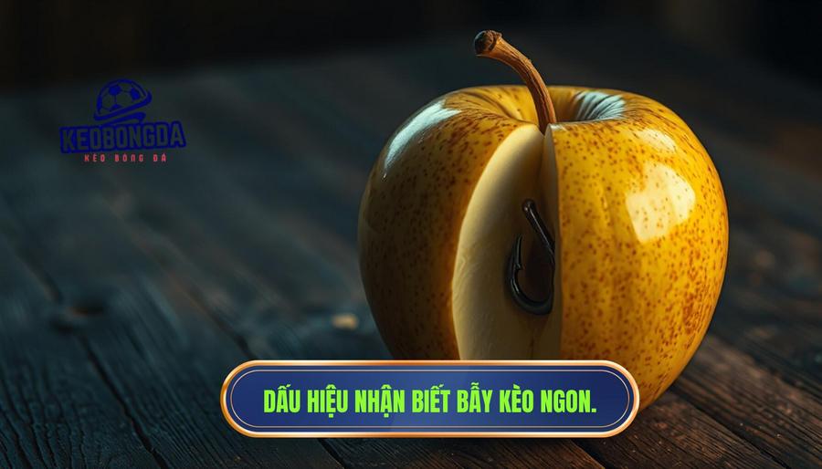 Vì sao có những kèo nhìn ngon nhưng càng chơi càng thua? Bí mật đằng sau những "cái bẫy" ngọt ngào 3 Các dấu hiệu nhận biết một kèo nhìn ngon nhưng thực chất là bẫy